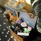 Vel Unt's Fairytale Crystal Diary - Magisk Krystallsamling thumbnail