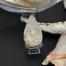 Agatisert Korall/Korall Fossil Dråpe #9 thumbnail
