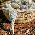 California Hvit Salvie - Liten Torch thumbnail