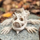 Hollow Skeleton Turtle thumbnail