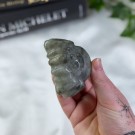 Stor Labradoritt Edderkopp** thumbnail