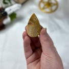 Agatisert Korall/Korall Fossil Dråpe #1 thumbnail