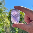 Fluoritt Jellyfish [10] thumbnail