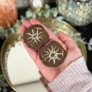 Septarian Nodule Par #2 thumbnail
