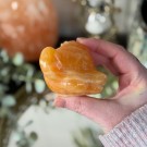 Oransje Bånd Kalsitt - Stort Simba Hode thumbnail