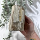 Forsteinet Tre Telysholder Høy thumbnail