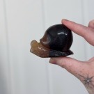 Regnbue Fluoritt Snegle thumbnail