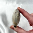 Dendrit Bilde Jaspis Hjerte thumbnail