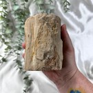 Forsteinet Tre Telysholder Høy thumbnail