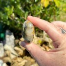 Golden Healer & Pyritt Hjerte #13 thumbnail