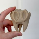 Cursed Tooth thumbnail