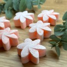 Japanese Magnolia - Natural Soy Wax Melts thumbnail