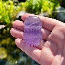 Fluoritt Jellyfish [5]** thumbnail