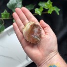 Liten Rød Forsteinet Tre Skive #4 thumbnail