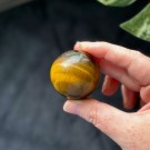 Tigerøye Kule #1 thumbnail