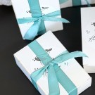 Vel Unt’s Secret Scoop - Havets Hemmelighet fra en glemt lagune thumbnail