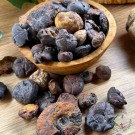 Goniatitt - 10stk  thumbnail