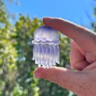 Fluoritt Jellyfish [4] thumbnail