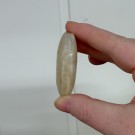 Hvit Månestein Håndstein #1 thumbnail