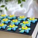 Mini Solsikke Fantasy Skilpadde thumbnail