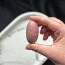 Unik Rosa Forsteinet Tre Shiva #9 thumbnail