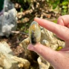 Golden Healer & Pyritt Hjerte #2 thumbnail