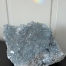 Celestin Gruppe 2,1KG thumbnail