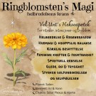 Vel Unt's Drømmehage ~ Calendula/Ringblomst (Hånddyrket i Norge) thumbnail