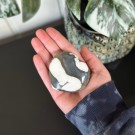 Orca Agat Hjerte #3 (Spekkhoggersteinen) thumbnail