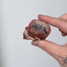 Liten Rhodokrositt Hodeskalle - Collector's Piece (111,8g) thumbnail