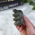Stor Labradoritt Edderkopp** thumbnail