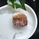 Liten Rød Forsteinet Tre Skive #4 thumbnail