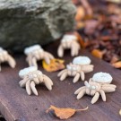 Mini Spider Donut - Vanilla/Vanilje thumbnail