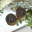 Septarian Nodule Par #4 thumbnail