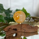 Golden Healer Kule #1 thumbnail