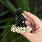 Glow in the dark - Mini Grim Reaper m/hodeskaller thumbnail