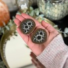 Septarian Nodule Par #1 thumbnail