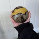 Septarian UFO thumbnail