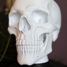 Hodeskalle - Memento Mori  thumbnail