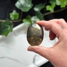 Golden Healer & Pyritt Håndstein #19 thumbnail