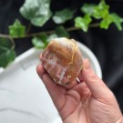 Liten Rød Forsteinet Tre Skive #4 thumbnail