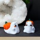 Ghost Snails - Pumpkin thumbnail