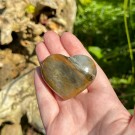 Golden Healer & Pyritt Hjerte #12 thumbnail