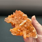 Mandarinkvarts Gruppe [Tangerine] #7 thumbnail