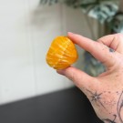 Oransje Kalsitt Skjell thumbnail