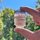 Fluoritt Jellyfish [1] thumbnail
