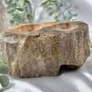 Forsteinet Tre Telysholder [2 lys] thumbnail