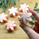 Japanese Magnolia - Natural Soy Wax Melts thumbnail