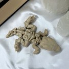 Skeleton Tyrannosaurus Rex Figur thumbnail