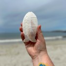 Mother Of Pearl - Skjell Pyntekam #2 thumbnail